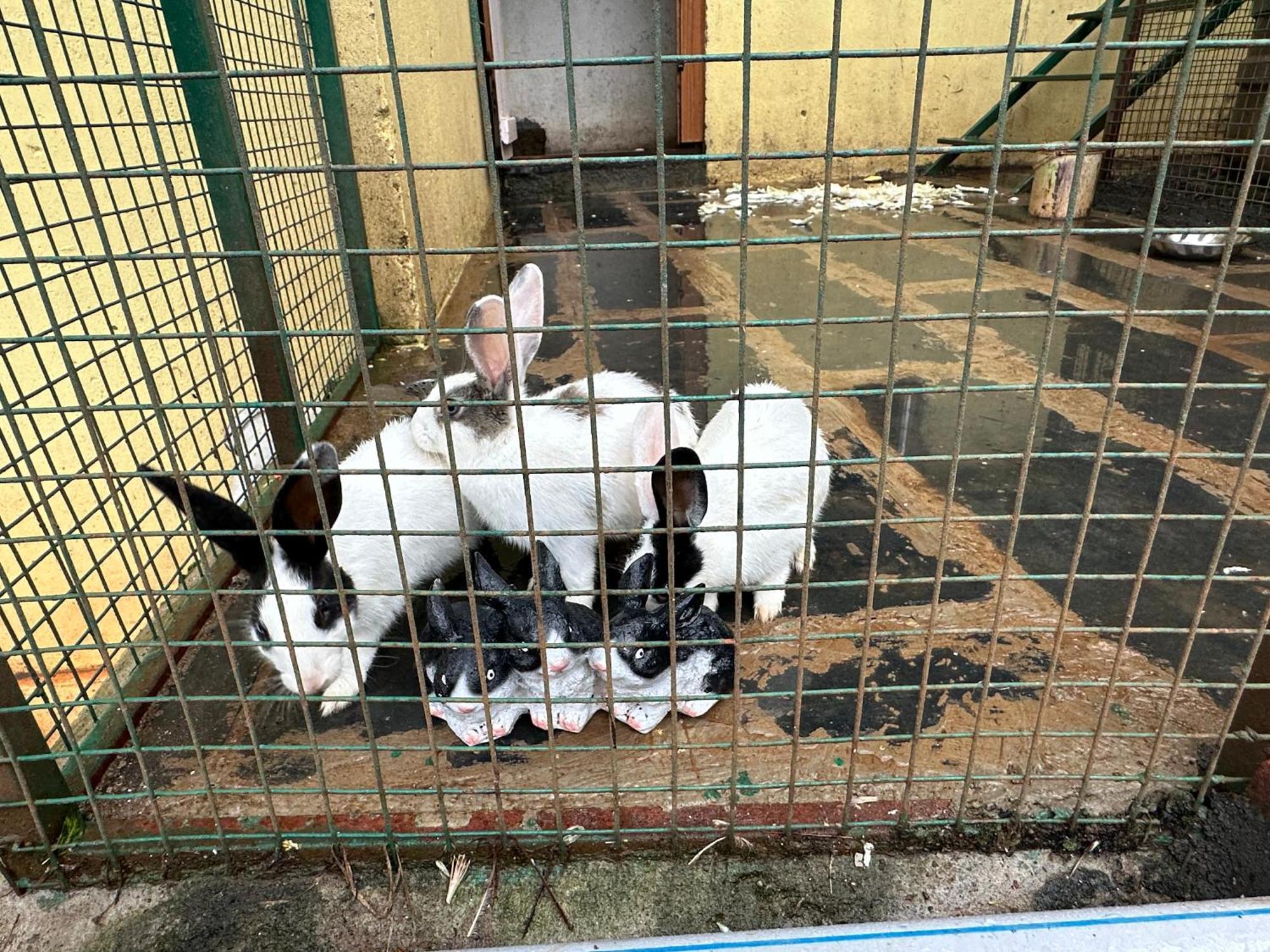 Kanjira House ウーティ エクステリア 写真